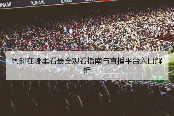 粤超在哪里看最全观看指南与直播平台入口解析