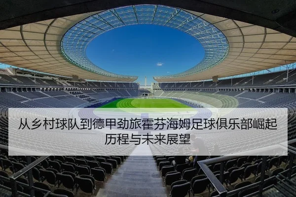 从乡村球队到德甲劲旅霍芬海姆足球俱乐部崛起历程与未来展望